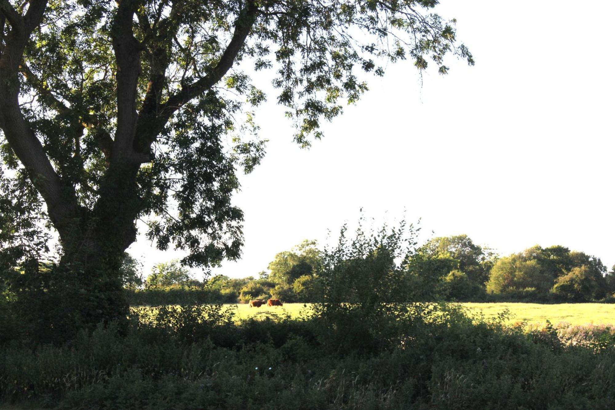 The Willowford Milton Keynes Zewnętrze zdjęcie